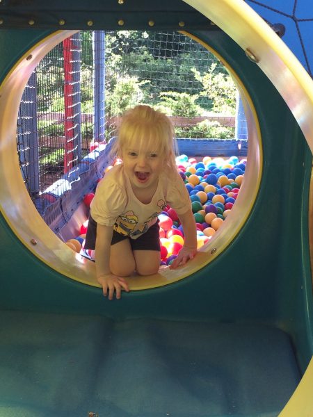 Fort Rickey Discovery Zoo